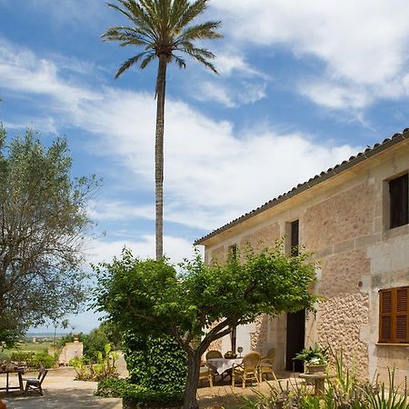 Agroturismo Es Pla De Llodra Manacor  Exterior foto