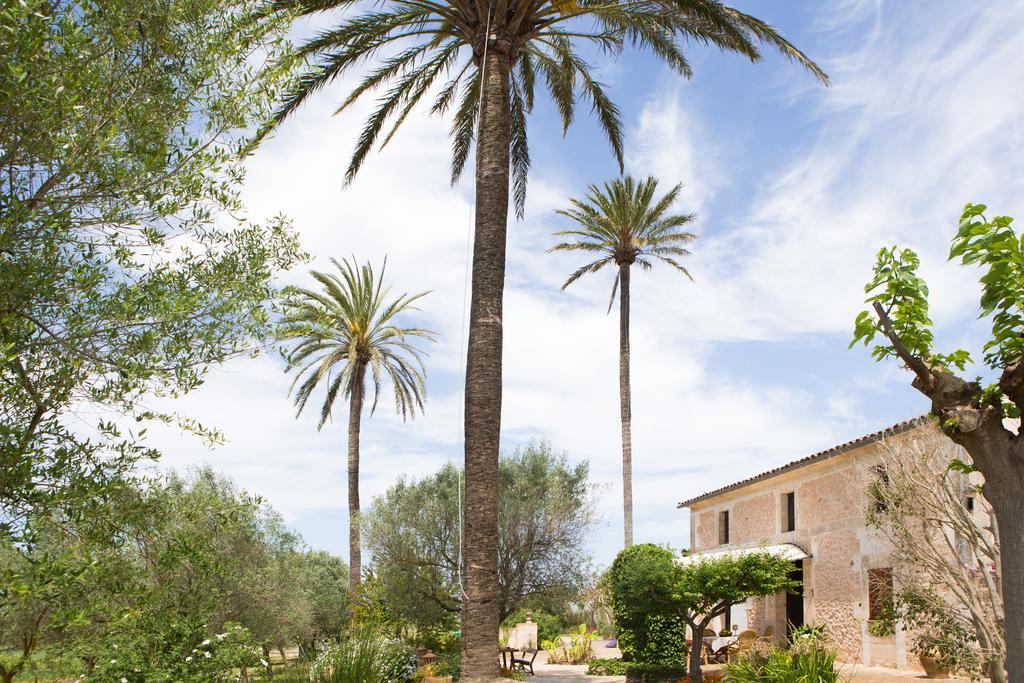 Agroturismo Es Pla De Llodra Manacor  Exterior foto